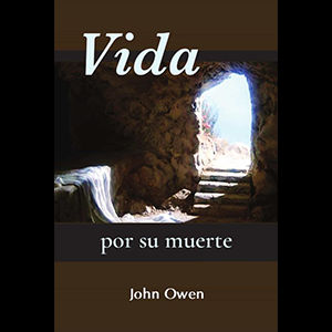 Owen Vida por su Muerte